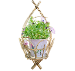 Macrame Wall Hanging Kit